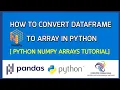 DataFrame to Array in Python NumPy and Pandas Tutorial