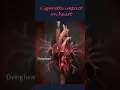 Cigarette Impact on Heart