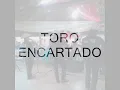 Toro Encartado Los Hijos de Sinaloa 2014