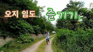 춘양면 형제봉을 바라보며 달리는 오지 임도탐사 여행//노지 차박캠핑!! 썸네일