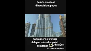 tembok raksasa di bawah laut papua jayapura 