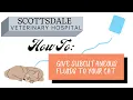 Cat - Sub Q Fluid Administration