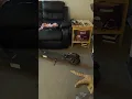 Caught wife cheating with her manager at Amazon 15 years flush