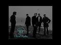 The Sonics - Shot Down