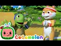 The Tortoise and the Hare CoComelon Furry Friends Animals for Kids