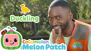 Wanna Explore farm Animals? 🦆| Let’s Get Moving - Kids Activities!