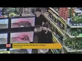 Over 1 400 worth of snakes stolen from Stockton pet store