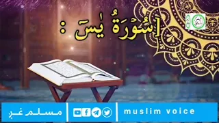 قران کريم س و ر ة ي س تلاوت القاري محمد فاروق صابر مسلم غږ Muslim Voice 