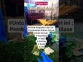 Download Lagu 🔥Cinta Merah Jambu‼️#shorts #trending #dangdutkoplo #silase #sapi #kambing #animals #lagudangdut
