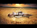 Alan Walker-Sing Me To Sleep (tropical remix )