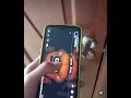 Download Lagu FNAF Freddy #fnaf #foot #prank #epic