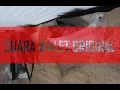 Download Lagu SUARA WALET PANGGIL NAGA MERAH #10