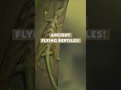 They were the first vertebrates to go airborne