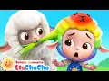 Download Lagu Domba Warna-Warni 🐑 | Lagu Domba | Lagu Hewan | Lagu Lucu | Lagu Anak | LiaChaCha Bahasa Indonesia