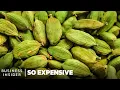 Why Green Cardamom Is So Expensive So Expensive