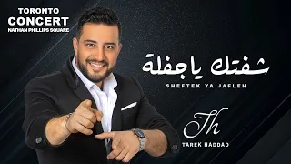 Sheftek Ya Jafleh Tarek Haddad شفتك يا جفلة طارق حداد 
