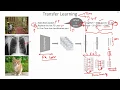 C 4 15 Transfer Learning CNN Object Detection Machine learning EvODN