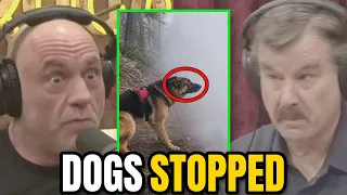 1,500 People VANISHED in America's National Parks Without a Trace | Joe Rogan & David Paulides