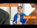 AAA Topic Explainer Audit Risk