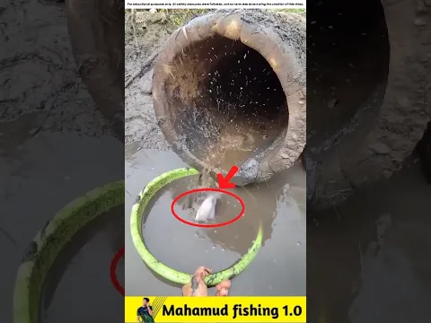 What Fish Got into the Basket from Dirty Water?π#viralvideo #facts #fishinggear #fishinglife #fish