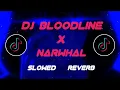 Download Lagu DJ BLOODLINE X NARWHAL [SLOWED REVERB] VIRAL!!