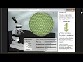 Cell Types Gizmo Introduction