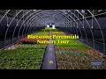 Bluestone Perennials Nursery Tour
