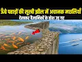 Lagu सालों से वीरान पड़ी झीलों में अचानक मछलियाँ कैसे आ गईं? वैज्ञानिक भी रह गए दंग! Ankit Awasthi Sir 