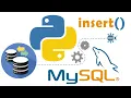 PYTHON MYSQL HOW TO INSERT DATA INTO DATABASE TABLE USING PYTHON MYSQL CONNECTOR APACHE XAMPP