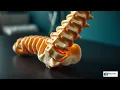 Sciatica Treatment in Jacksonville FL Chiropractic Relief at East Coast Injury Clinic