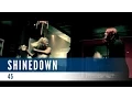 Shinedown - 45