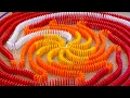 106 000 Dominoes - Reaching For Hope Maryland Domino Topple 2026