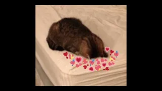 Still With You By Jungkook Sped Up Nightcore 