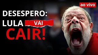 EU AVISEI! PREPARA para A QUEDA LULES #nikolasferreira #lula #bolsonaro #bolsafamilia #omarcal