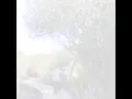 Download Lagu Akulah yang kau Cari - Arif