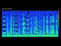 Lagu Modern Sonar Sounds and other Sounds of the Sea