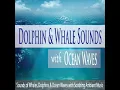 Ocean Waves With Distant Thunderstorm