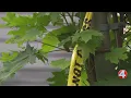 Niagara Falls Police city s remain tight-lipped on homicide investigation