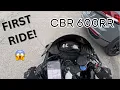 My First Motorcycle CBR 600RR Beginner Rider