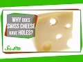 Why Does Swiss Cheese Have Holes