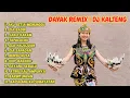 DJ LAGU DAYAK Viral 2025 | TikTok | Lagu Dayak Versi Remix | Bunsu Rusa