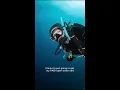 Download Lagu Become a Master Scuba Diver