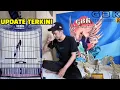 Download Lagu SPESIAL UPDATE STOK TERKINI MURAI BATU PRESTASI