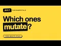 Which Array Methods Change the Original JS Fundamentals 3 7 Three Minute Stack