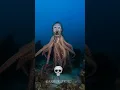 Download Lagu Octopus Can't be Scary 💀