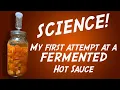 Download Lagu Fermented Habanero Mango Hot Sauce