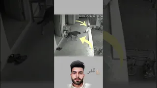 عظمة الله في لطفه الذي يرسله للمخلوقات لحمايتنا تصاميم عبارات حالات وتس متابعه لايكي اكسبلاور 