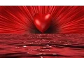 Download Lagu .... Ciebie jedną mam dziś przed oczyma .... VOX