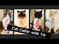 Sewing DIY Cat Collar with Tie free pattern