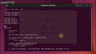 C lang How to execute shellcodes form memory in C